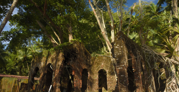 Tour Image